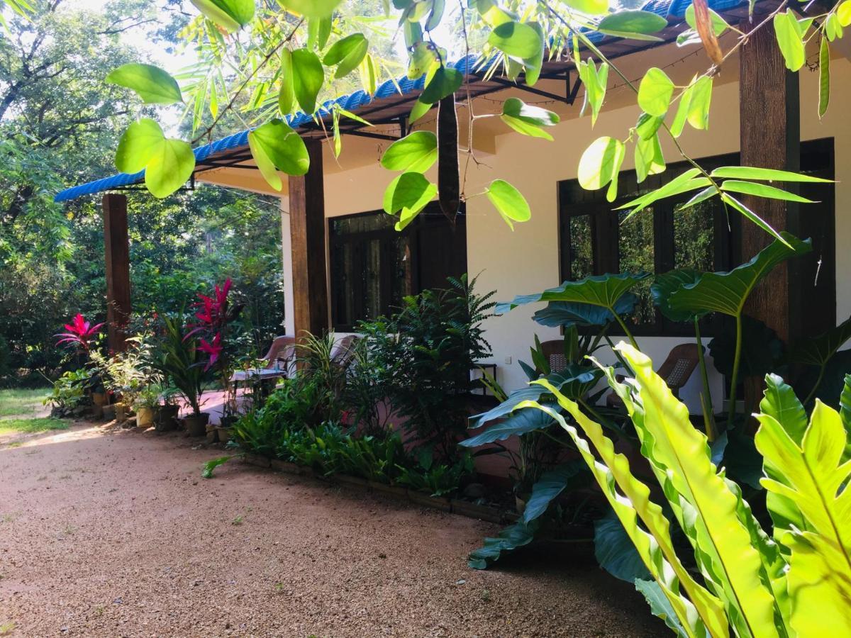 Apartamento Gimansa Rest Sigiriya Exterior foto